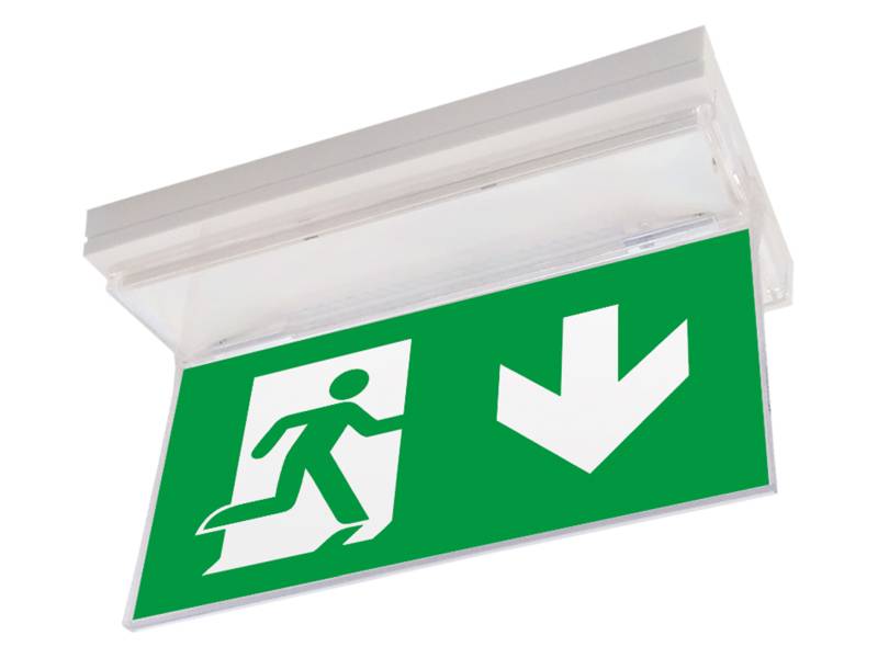 KIT BIFACCIALE SEGNAL. PRODIGY XL E GOST XL