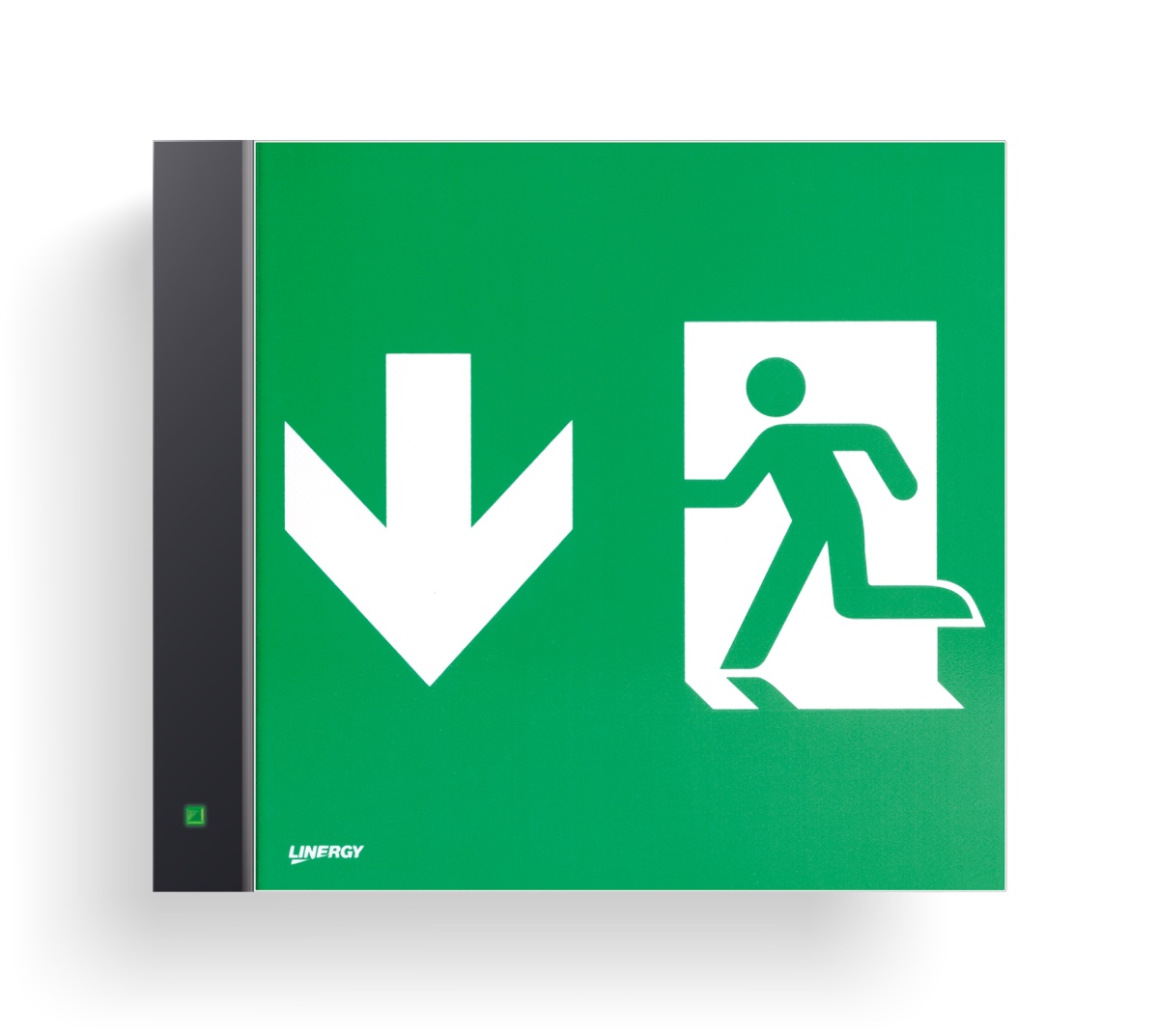 WAFER 30M 1H/2H/3H SE/SA IP40 SPY FIRE WIR.